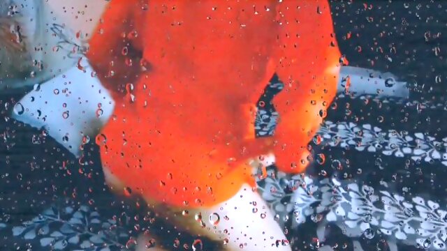 Salgo a jugar al parque de noche con mi hermanastro y le hago la mejor garganta profunda en público