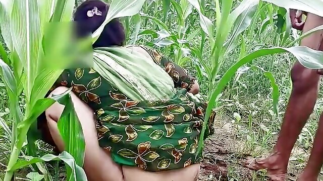 Bhabhi ko devar ka kala mota lund aaya lisand, corn field me bhabhi ki chudai outdoor Hindi audio