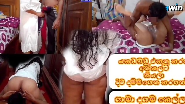 යකඩ බඩුකාරයාට කියලා බඩුවට දිව දම්මාගත් සුදුනෝනා. පරණ පොල්ලට කැමතිලූ Srilanka Milf sucking