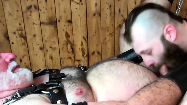 BEARFILMS Donathan Dramis Blows DC Montreal Dick Before Sex