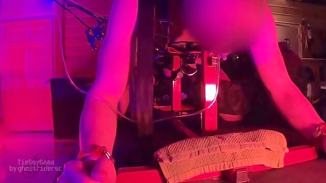 Tormented in the Pillory