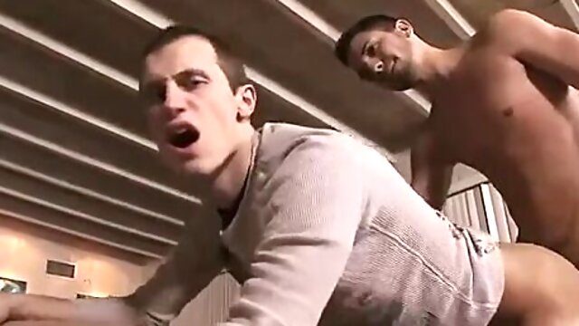 Gay