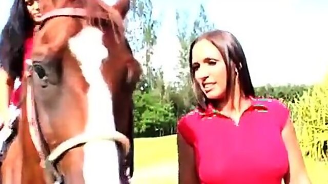 Busty latina equestrienne Cynthia Bang fucking