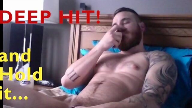 Barebreeder Getting Trained