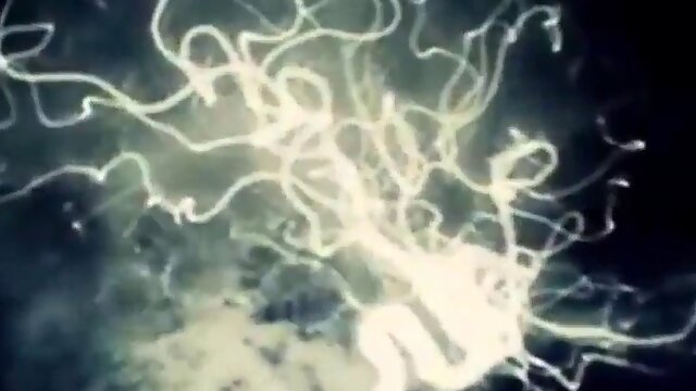 Serena Blair hot porn with Ashley Adams