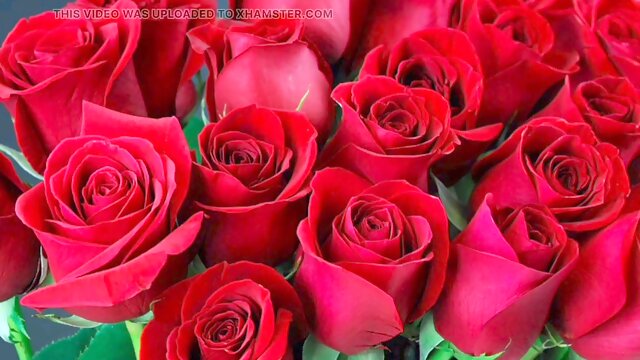 Bangla choto golpo splendid mature saree chachi Sadia Akhter hotwife hasband full Bangla choti golpo full story