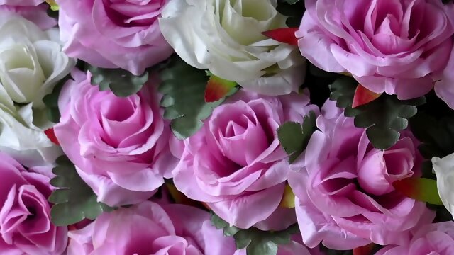 Me And My buddy - Bengali Audio Story