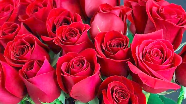 Erotic Bangla tales of passion and desire featuring hot Bangladeshi women