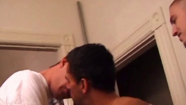 Tag, Mike Rimmer, Rod Filler and Silver are all relaxing after a busy day. Silver climbs on the massage table and the boys give him some physical attention.