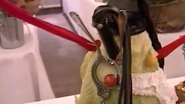 Xkiss, Nederlands, Dutch