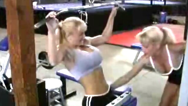 Catfight