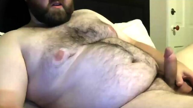 Best bear 4