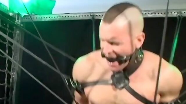 Bigg Pete fights to get off the chains tied to his assets down to his ball-sac
