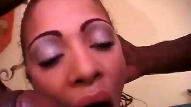 Spanish Fly Pussy Search 3 Scene 1