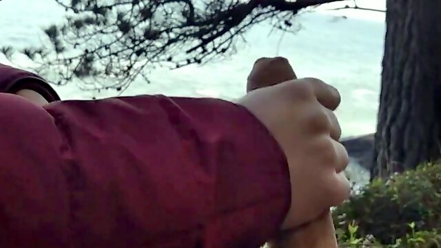 Public Blowjob with a View: Amateur Couple Almost Caught!