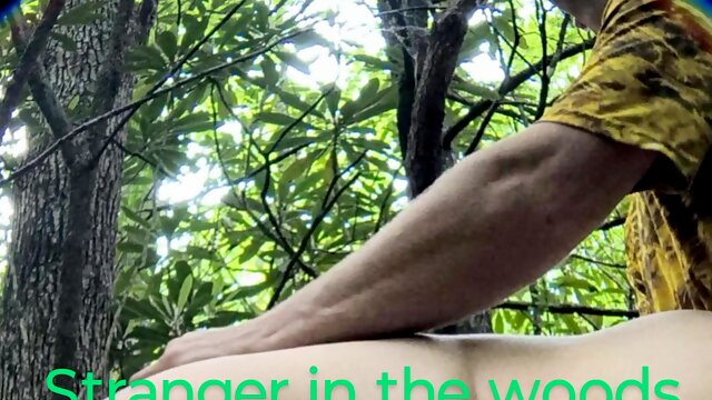 Bended This Stranger Over in the Woods Tree Covered