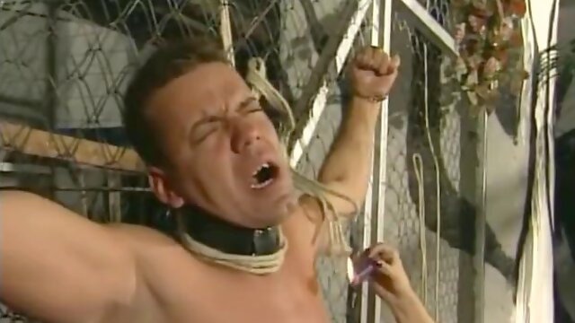 The suffering factory 1