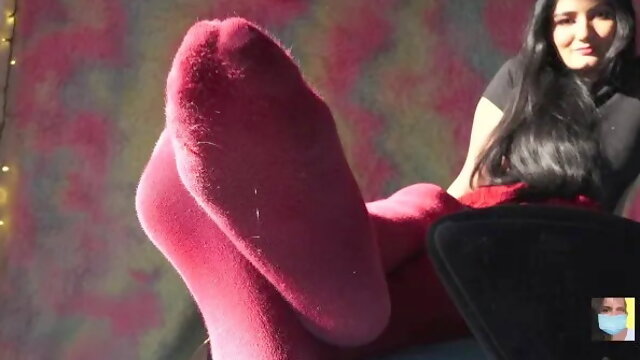 Sexy Socks Shoe Dangle to Pantyhose