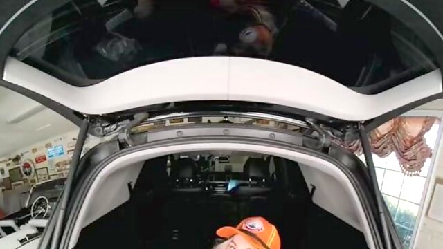 Big Ass, BBW, POV
