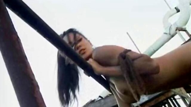 Asia Carrera Breeders