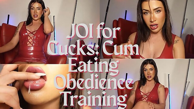 JOI for Cucks: Cum Eating Obedience Training