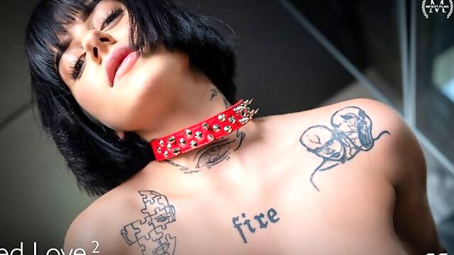 Sarah Heizels secretary stockings video by TLE