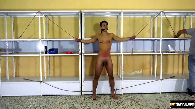 Gay Suck Bdsm