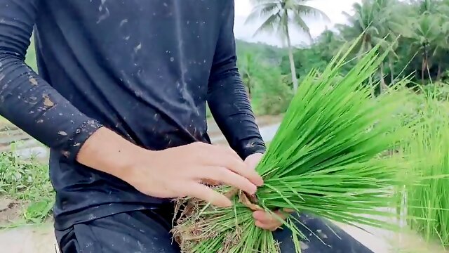 Highly luxurious and funny youthfull farmer