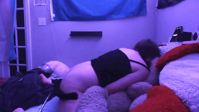 Teddy Bear, Amateur