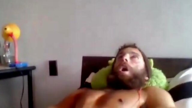 Gays Gemissement