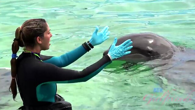 Watch Creampie Summer Carter on your last night in Hawaii - Doggy, Blonde, Hawaii Porn