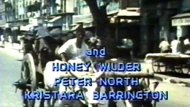 Hardcore pornstar Brandi Lyons adores anal sex