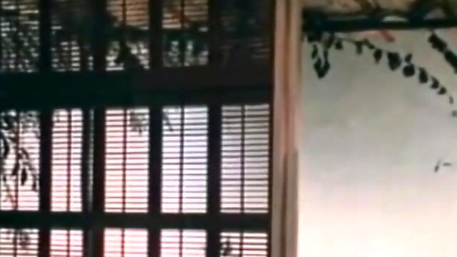 Classic Seventies Sexcapades