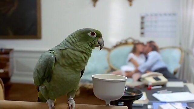 Cute 80s blonde babe in vintage black stockings does classic deep blowjob