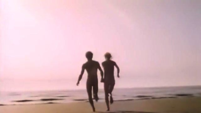 Français Vintage Poilue, French