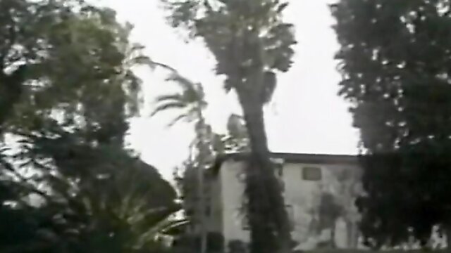 Sunday morning intense fucking