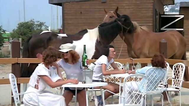 Vintage Francais 1976, French