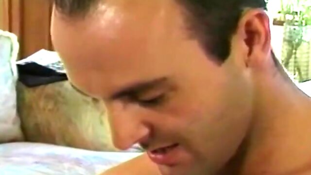 Starbangers 8 - Nici Sterling