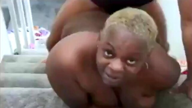 Ebonygranny1: Blowjob, Amateur  Milf Porn