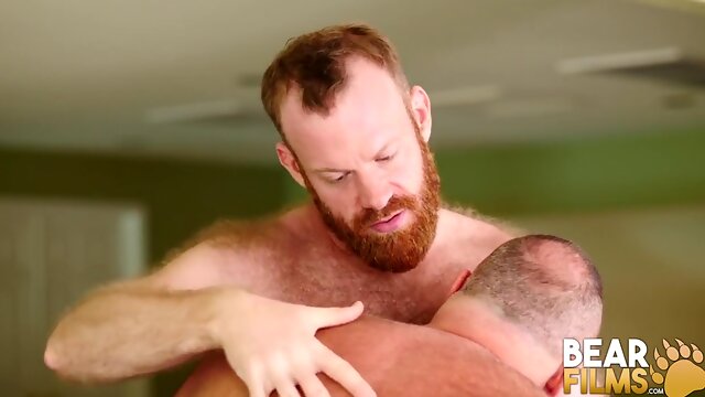 Brad Kalvo And Burly Bear - Fucks Ginger Hunk Bareback