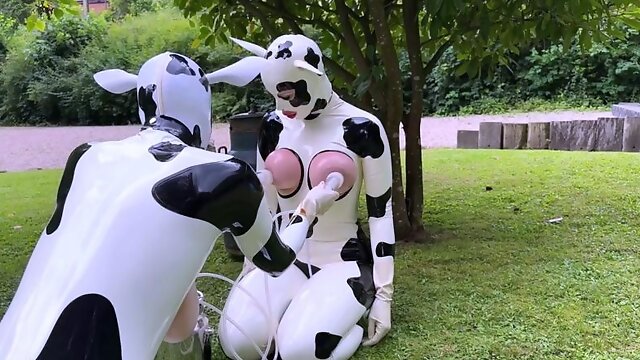 Big tittied lactating freaks milked like cows outdoors