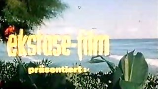 Vintage 70s german - Palmen, Meer und nasse Grotten (feature) - cc79