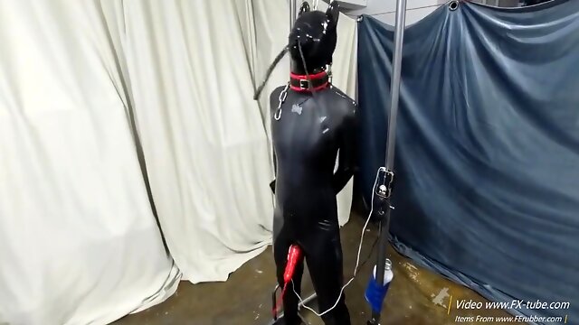 Rubber Pup Training