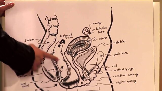 Anal Games In Educational Anal Sex Games