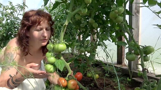 Country Milf Masturbates To Make The Tomatoes Blush