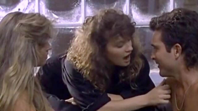 Chameleons - Not The Sequel