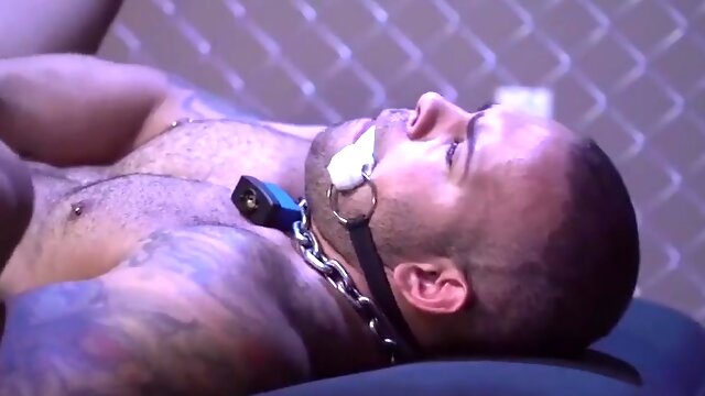 Lorenzo Flexx And Ricky Larkin - Pups Rear Entrance Enjoy