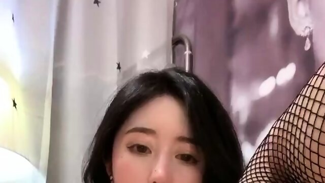 Asiatisch, Japanisch, Solo, Amateure