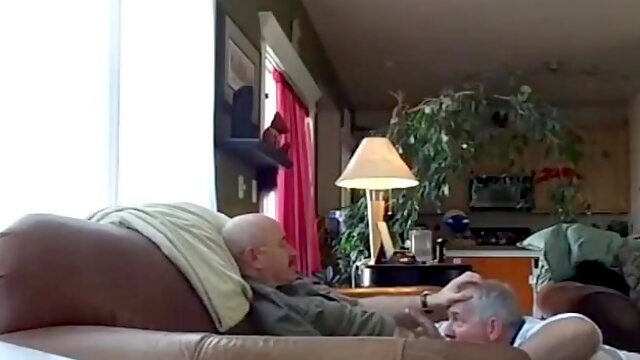 Silver Fox Servicer 2