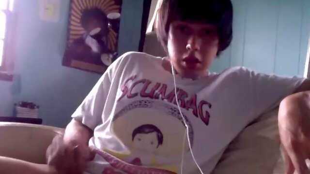 ウェブカメラ, オナニー